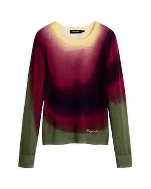 Desigual trui