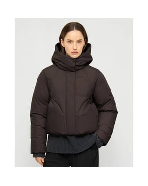Elvine Jack 331693 annabelle