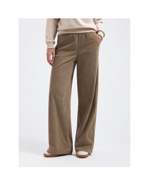 Lady Day Falcon corduroy