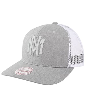 Mitchell & Ness Tints Grey Cap