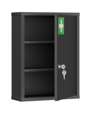 4goodz Medicijnkast voor wandmontage met slot 40x15x53 cm -