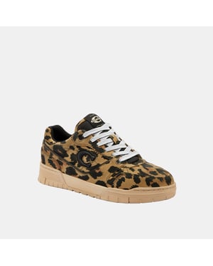 Soho Sneaker With Leopard Print