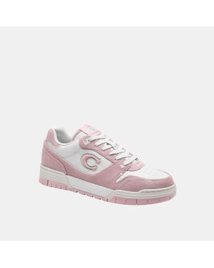 Soho Sneaker