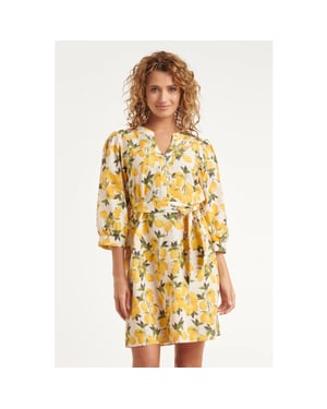 Smashed Lemon Jurk met citroenprint in geel en groen met ceintuur |