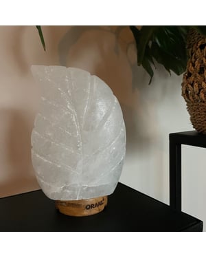 Orakl Dimbare himalaya zoutlamp leaf 2-4 kg