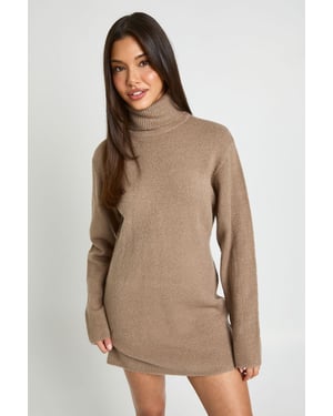 Roll Neck Chunky Knit Mini Dress