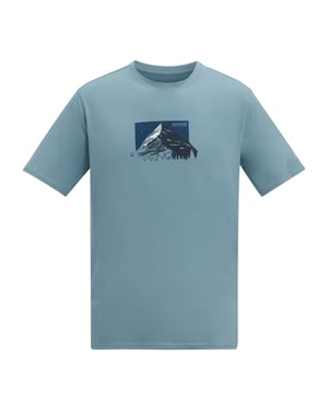 Regatta Mens Fingal Mountain Range T-Shirt (Dusky Blue)