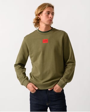 Long Sleeve Logo Detail Sweatshirt in Olive