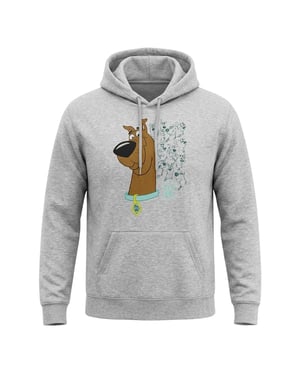 Scooby Doo Unisex Evolution-hoodie voor volwassenen (Sport Heide)