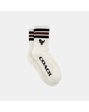 Sport Quarter Crew Socks