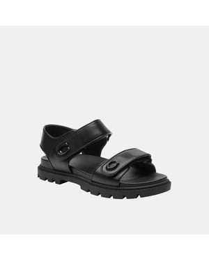 Brynn Sandal