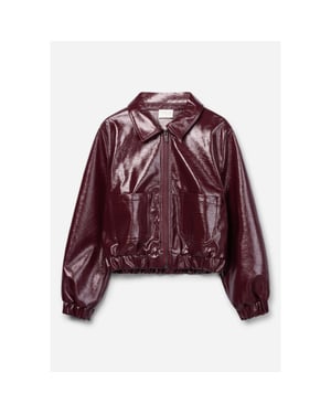 AI&KO Lione shine co 533 g