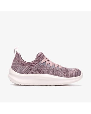 Solevana Lace Fig Trainers