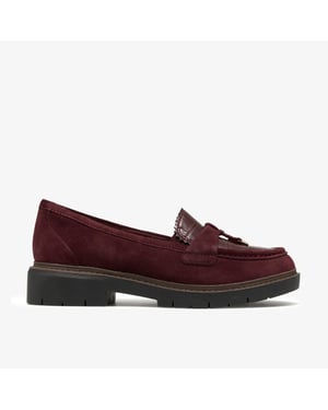 Westlynn Bella Burgundy Suede Shoes