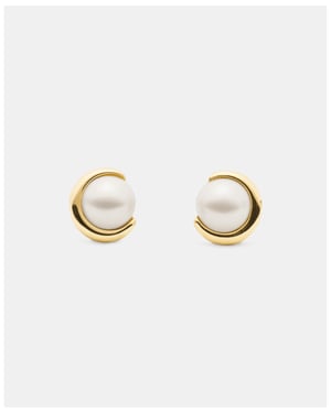 Harmony Studs