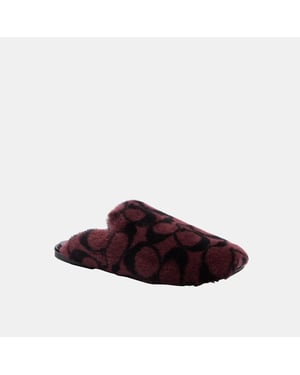 Slipper In Signature Shearling