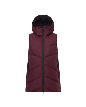 Regatta Womens/Ladies Merida Body Warmer (Fig)