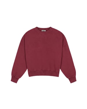 Stieglitz Sweat w2602017-008 basic