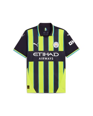 PUMA Herr Manchester City 24/25 Bortatröja