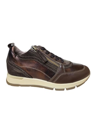 DL Sport 7116 vers 02