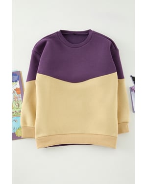 TRENDYOLKIDS Jongens Paars Colorblock Lang Regular fit Sweatshirts