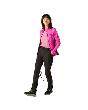 Dare 2B Womens/Ladies Peak Hiking Trousers (Black)