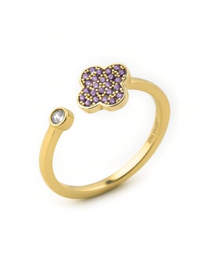 Luxenter Ring in 925 sterling zilver en amethist zirkonia, geëindigd in 18 karaat geelgoud - Alsion