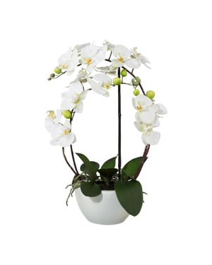 Kopu ® kunstorchidee 52 cm - te keramische pot phalaenopsis