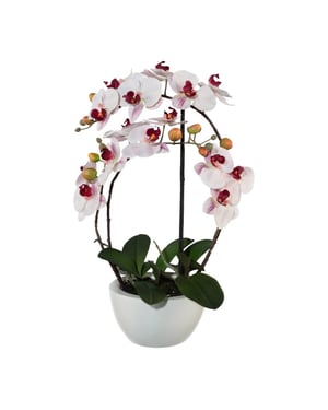 Kopu ® kunstorchidee 52 cm - witte keramische pot phalaenopsis
