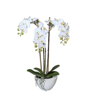 Kopu ® kunstorchidee 51 cm - te schaal phalaenopsis
