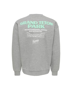 Only & Sons Only & sons onsbejmo sweatshirt