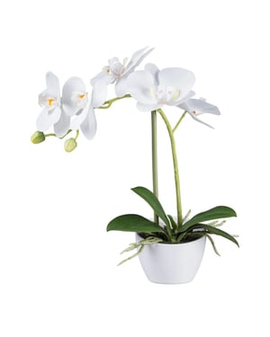 Kopu ® kunstorchidee 33 cm set van 2 - te pot phalaenopsis