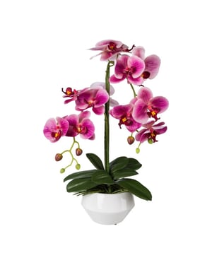 Kopu ® kunstorchidee 52 cm - witte pot phalaenopsis