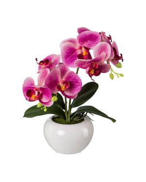 Kopu ® kunstorchidee 35 cm - witte pot phalaenopsis