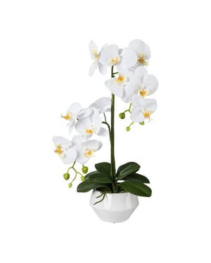Kopu ® kunstorchidee 52 cm - te keramische pot phalaenopsis