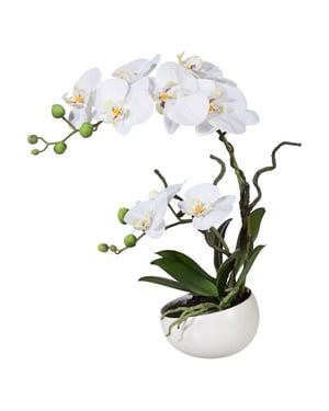 Kopu ® kunstorchidee 42 cm - te schaal phalaenopsis