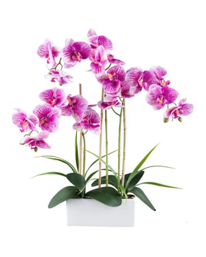 Kopu ® kunstorchidee 58 cm - 3 takken witte bak phalaenopsis