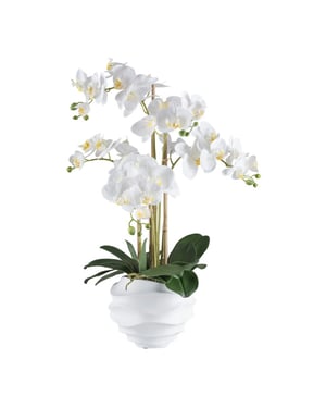 Kopu ® kunstorchidee 70 cm - 5 takken te pot phalaenopsis