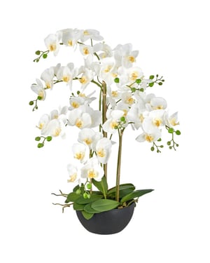 Kopu ® kunstorchidee 80 cm - zwarte schaal phalaenopsis