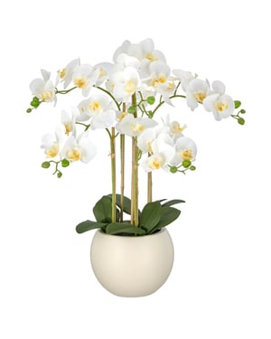 Kopu ® kunstorchidee 65 cm - crèmekleurige pot phalaenopsis