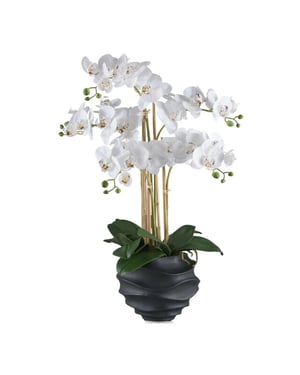 Kopu ® kunstorchidee 70 cm - 5 takken zwarte pot phalaenopsis