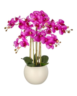 Kopu ® kunstorchidee 65 cm - crèmekleurige pot phalaenopsis