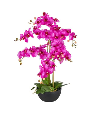 Kopu ® kunstorchidee 80 cm - zwarte schaal phalaenopsis