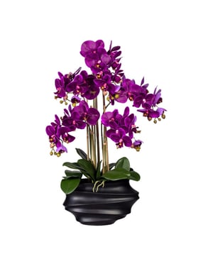 Kopu ® kunstorchidee 75 cm - zwarte vaas phalaenopsis
