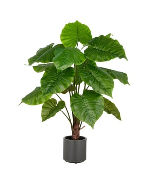 Kopu ® kunstplant alocasia 100 cm grijze pot olifantsoor