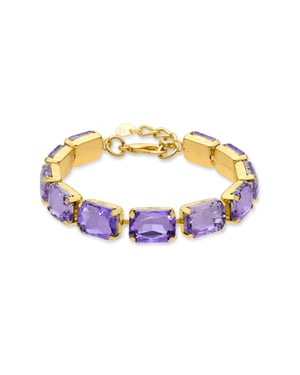 Luxenter Ankek armband afgewerkt in 18k geel goud