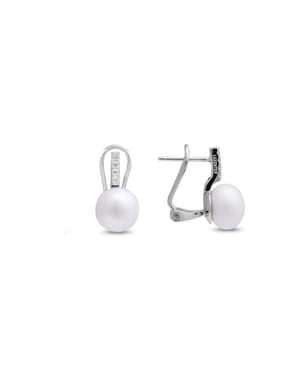 Oorbellen Herisus Zilver