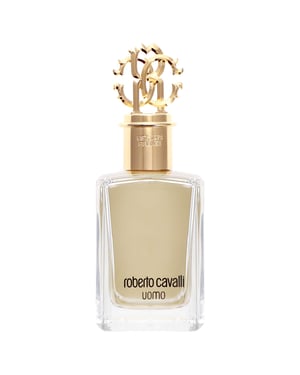 Roberto Cavalli Uomo Edt Spray 100ml