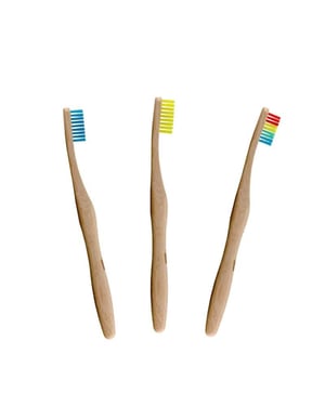 Dr. Botanicals Vibrant Bamboo Toothbrush Kit for Oral Care, Plaque Removal