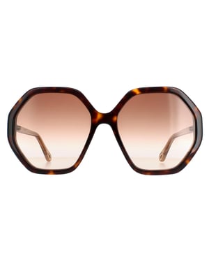 Chloe Round Dames Dark Havana en Bruin Crystal Bruin Gradient Ch0008s Esther
